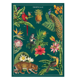 Cavallini Papers & Co. Wrap Tropicale