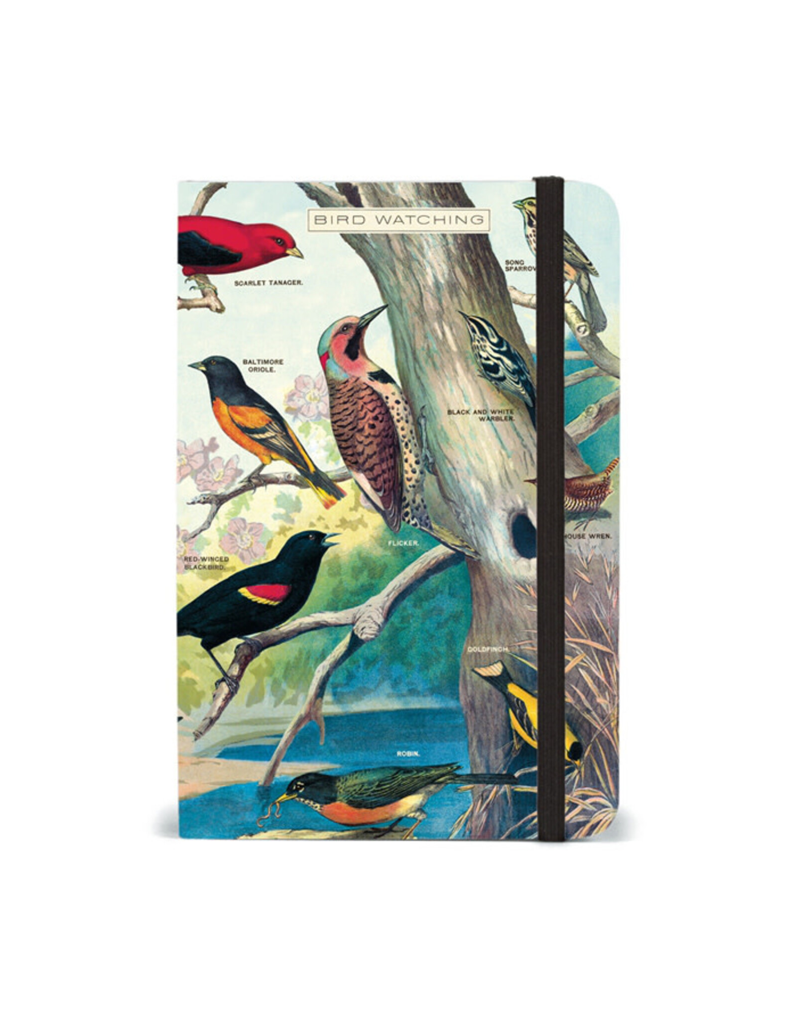 Cavallini Papers & Co. Bird Watching Small Notebook