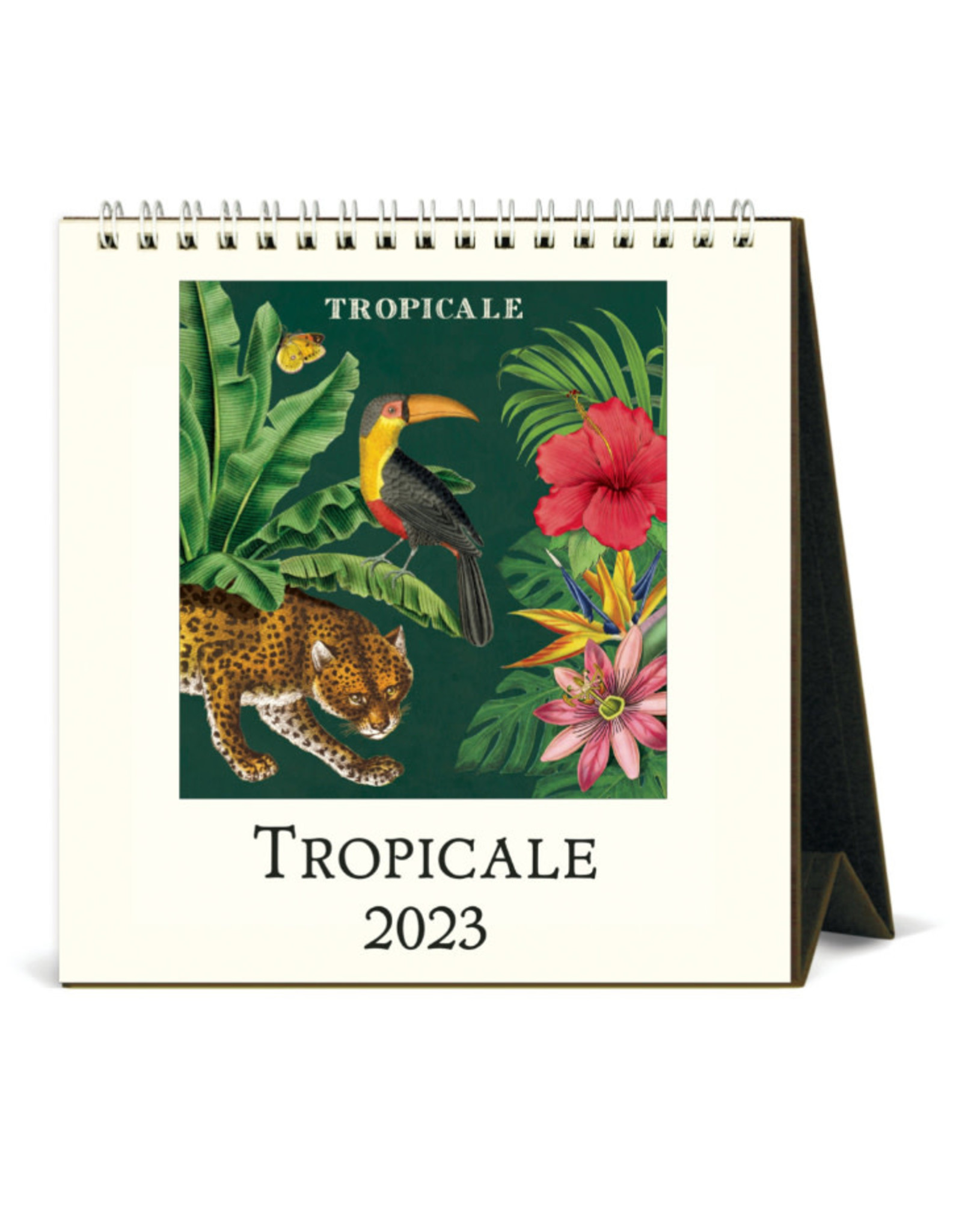 Cavallini Papers & Co. Tropicale 2023 Desk Calendar