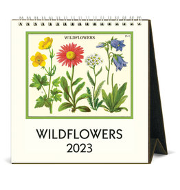 Cavallini Papers & Co. Wildflowers 2023 Desk Calendar