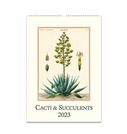 Cavallini Papers & Co. Succulents 2023 Wall Calendar