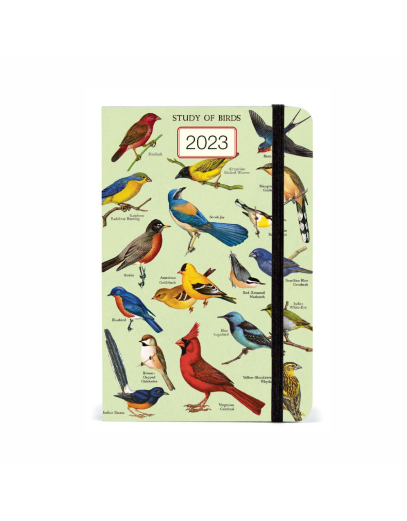 Cavallini Papers & Co. Study of Birds 2023 Weekly Planner