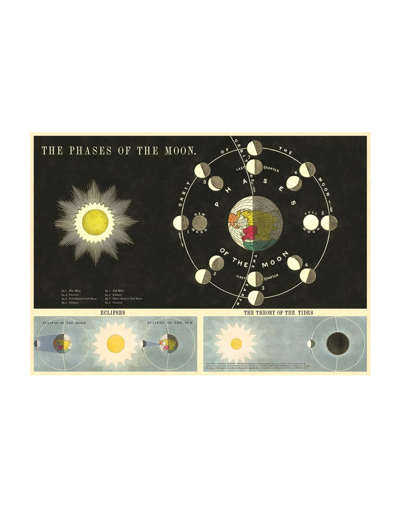 Cavallini Papers & Co. Wrap Phases of the Moon