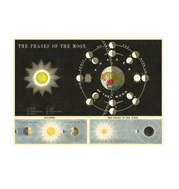 Cavallini Papers & Co. Wrap Phases of the Moon