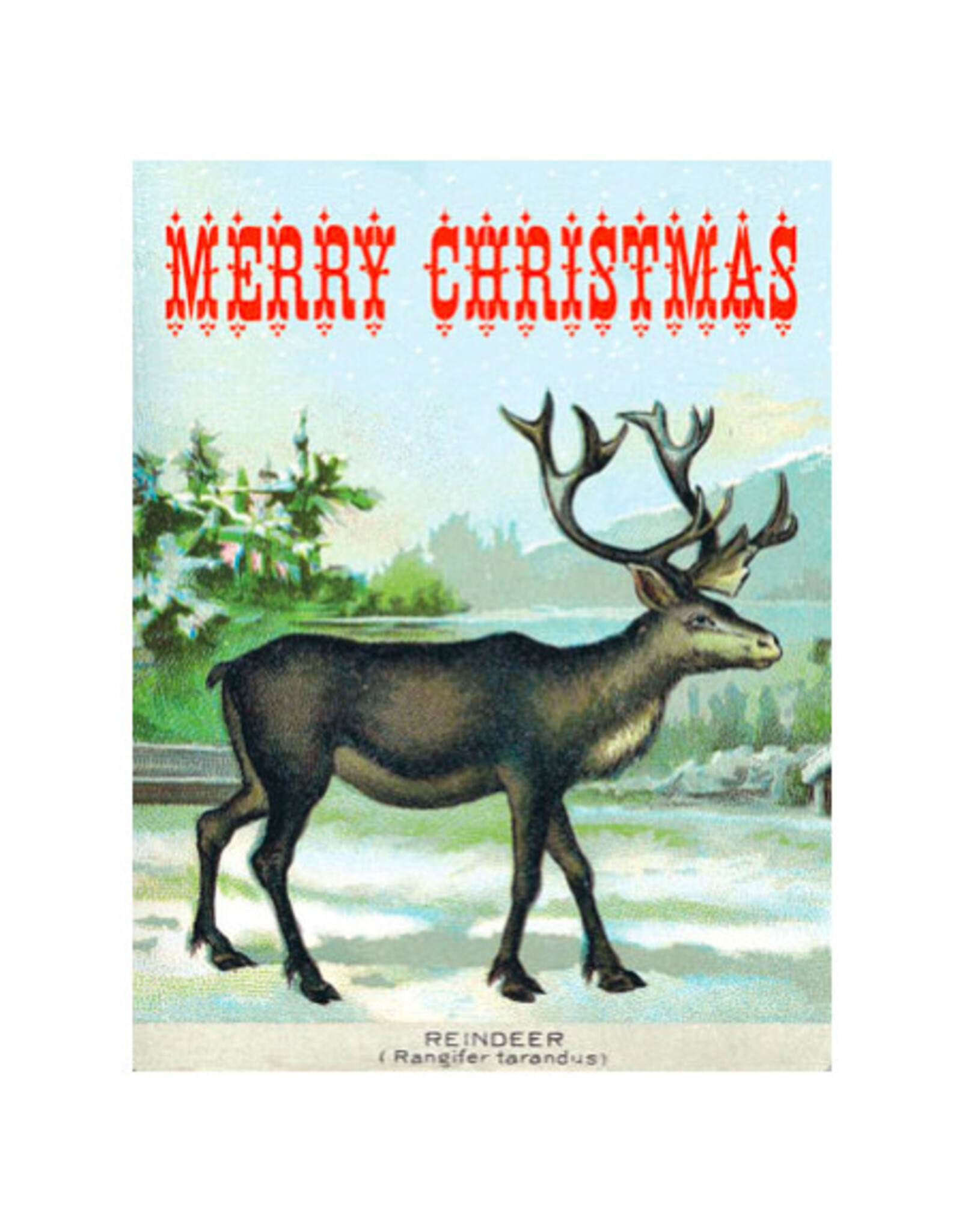 Cartolina Merry Christmas Reindeer A2 Greeting Notecard