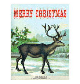 Cartolina Merry Christmas Reindeer A2 Greeting Notecard