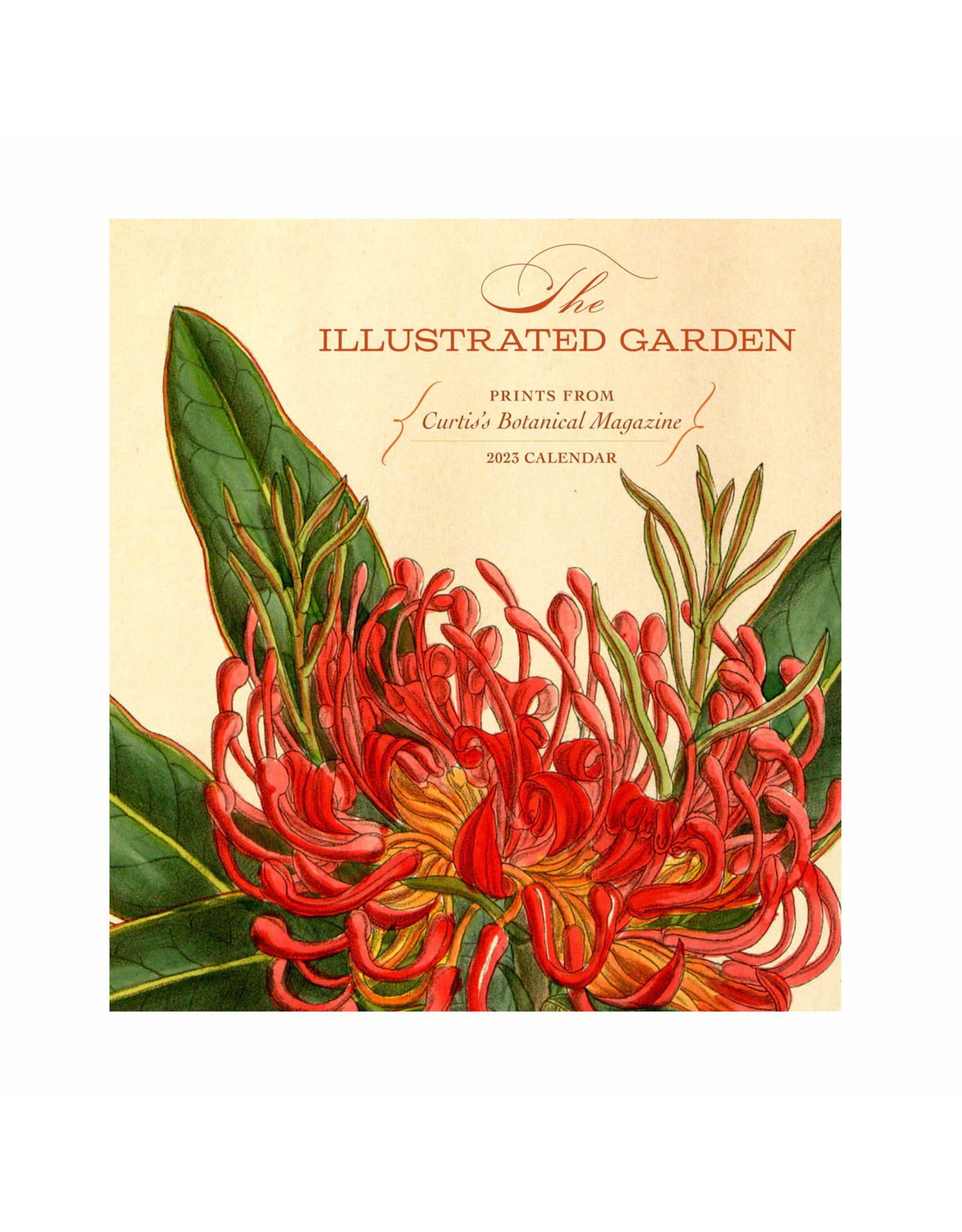 Pomegranate The Illustrated Garden: Prints from Curtis’s Botanical Magazine 2023 Wall Calendar