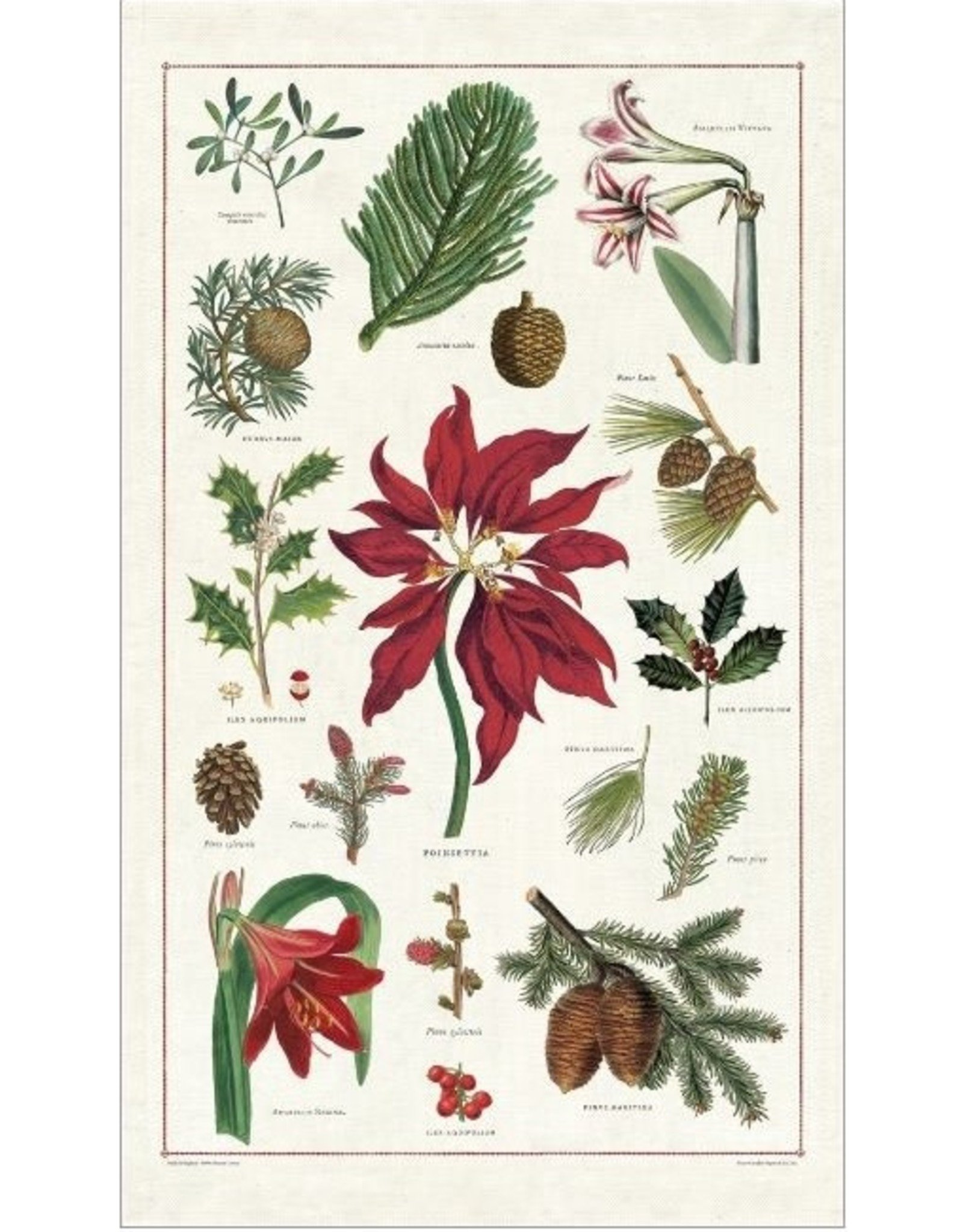 Cavallini Papers & Co. Christmas Botanica Tea Towel
