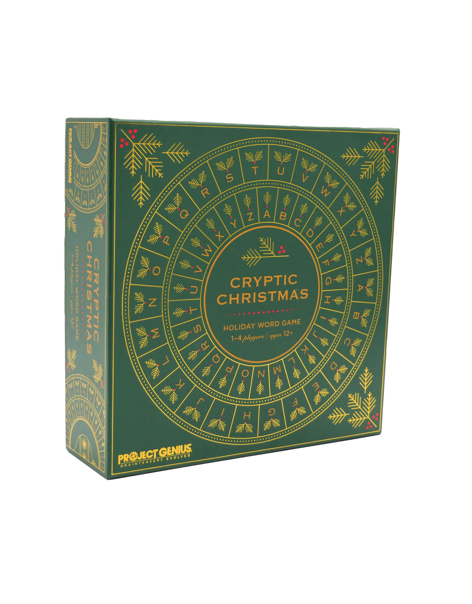 Project Genius Inc. Cryptic Christmas Game