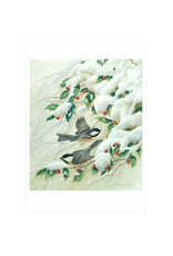 Pomegranate John Ruthven: Black Capped Chickadees Christmas Boxed Notecards