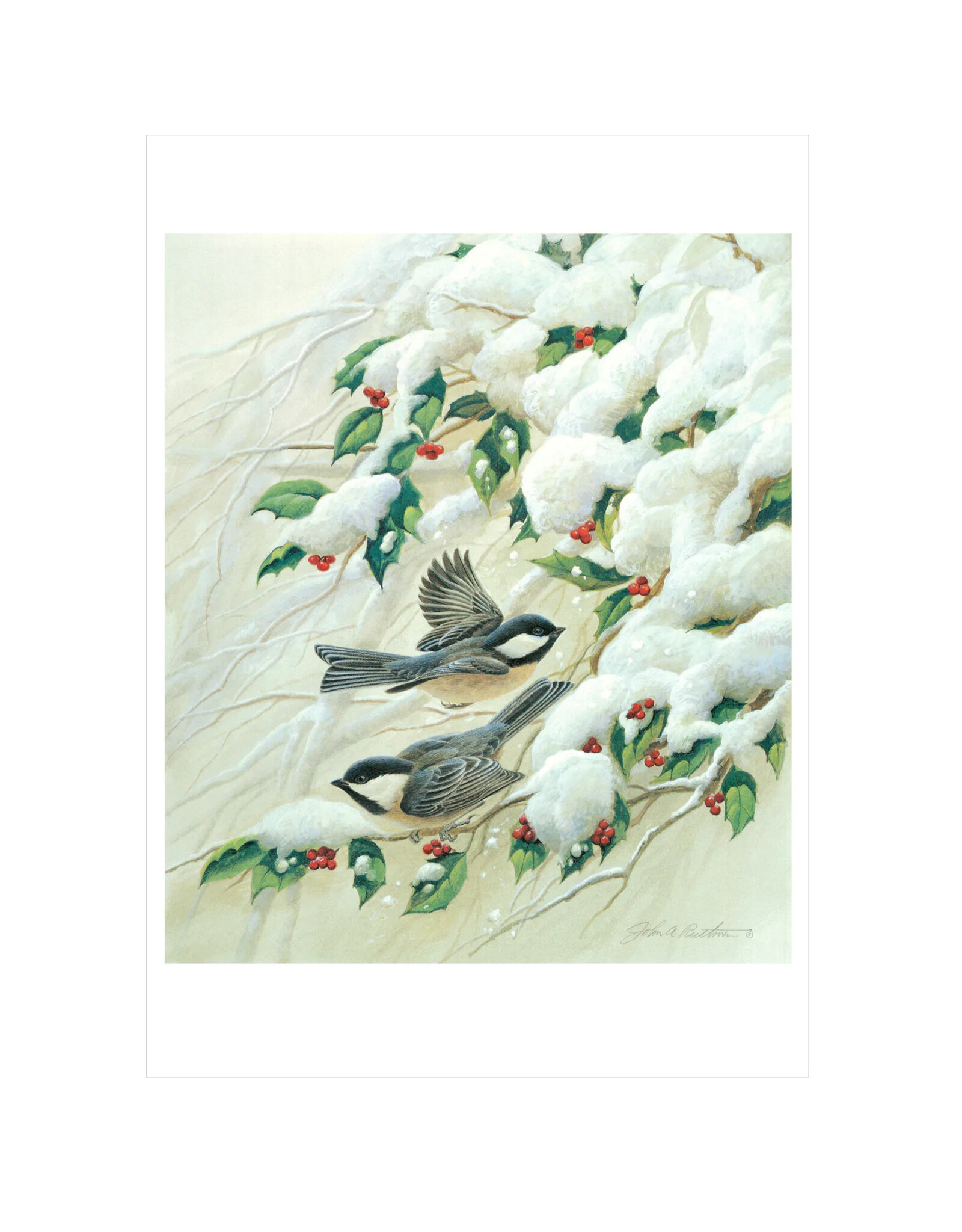 Pomegranate John Ruthven: Black Capped Chickadees Christmas Boxed Notecards