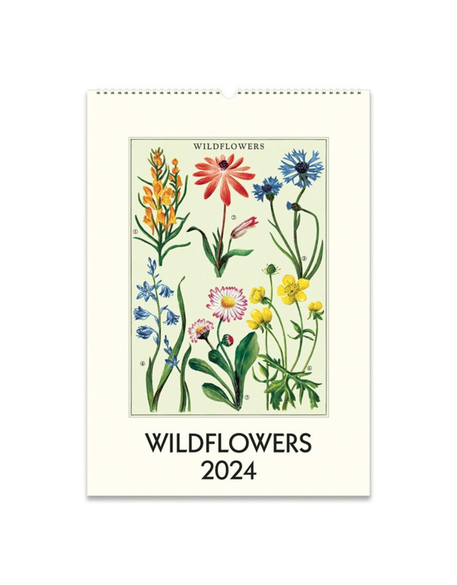 Cavallini Papers & Co. 2024 Wall Calendar Wildflowers