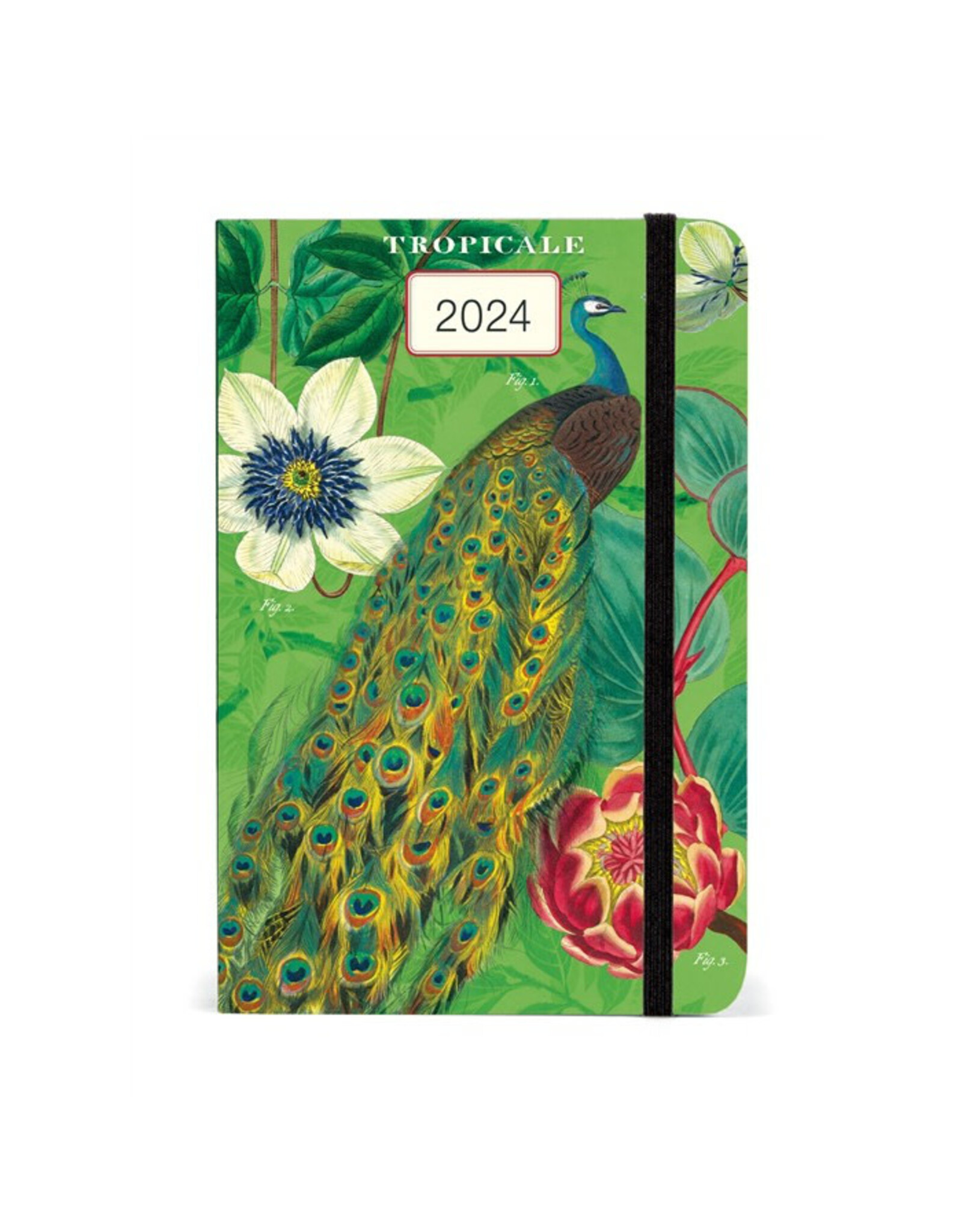 Cavallini Papers & Co. 2024 Weekly Planner Tropicale