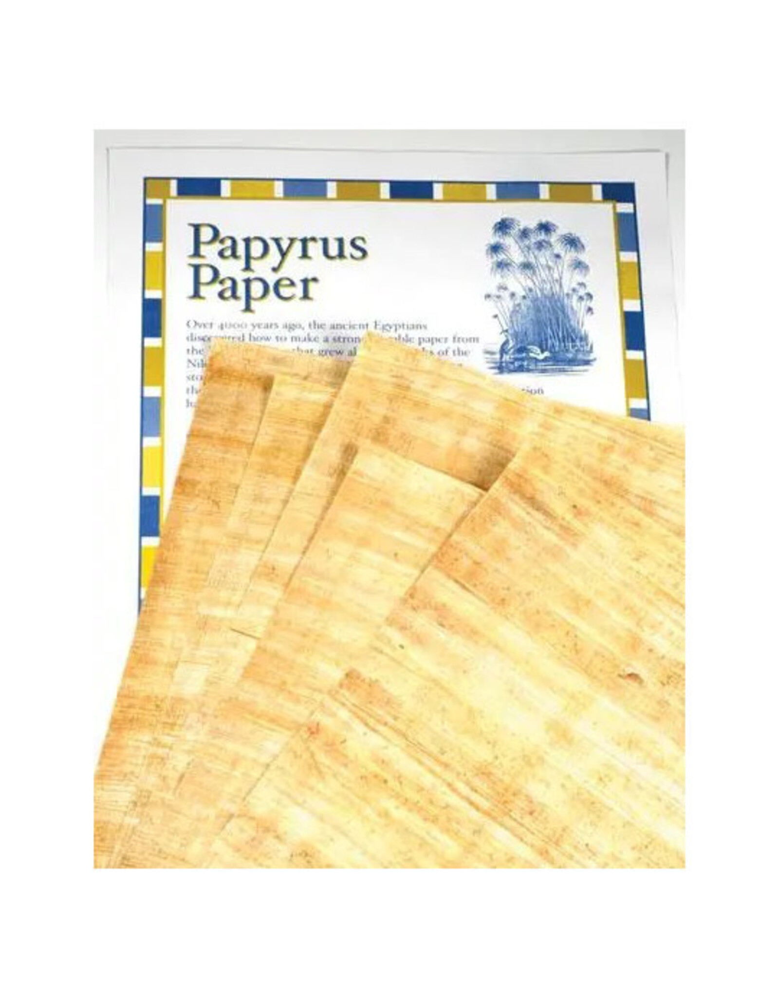 Discoveries Egyptian Imports Blank Papyrus Set of 6