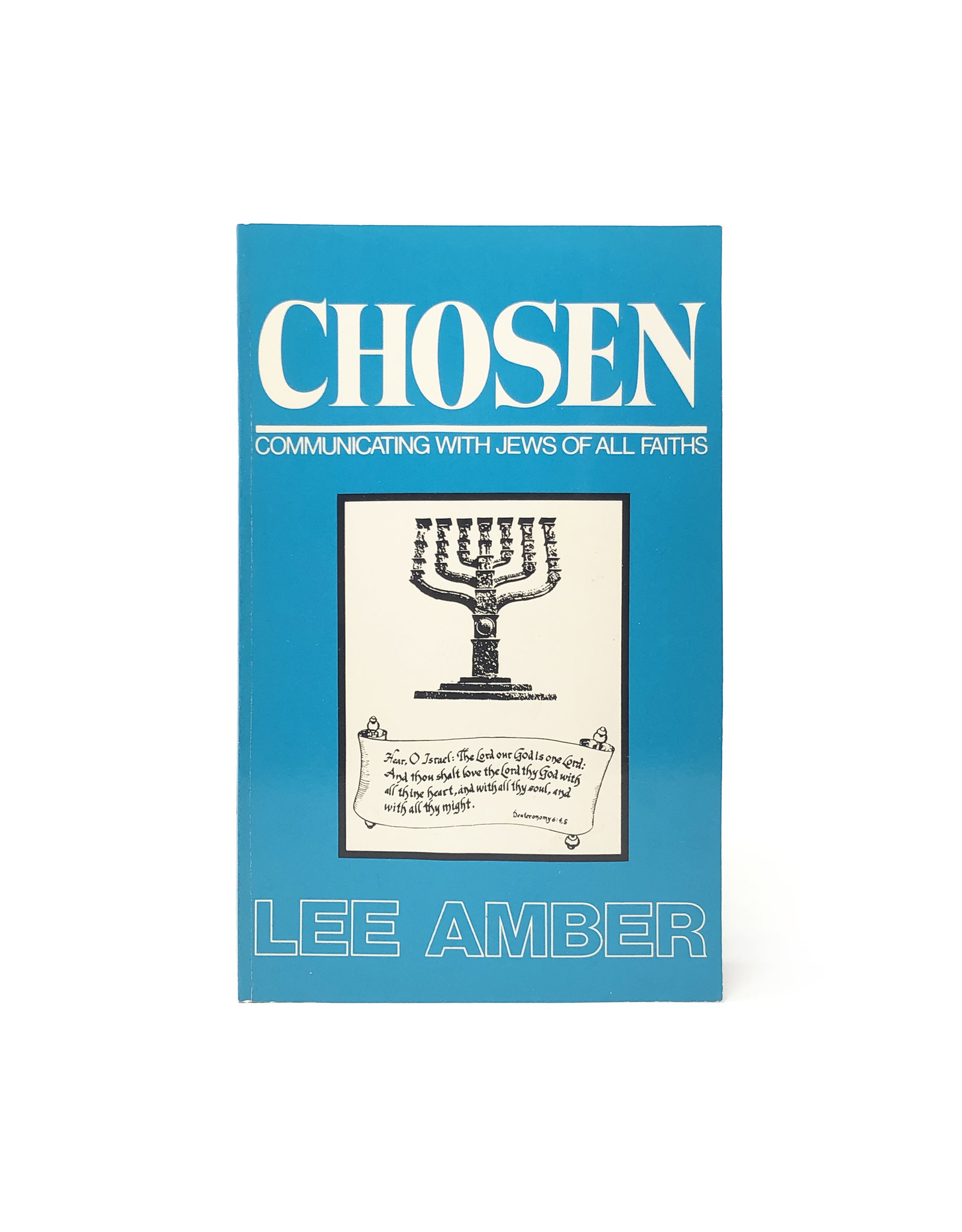 Vision House Amber, Chosen: Communicating with Jews of All Faiths PBK