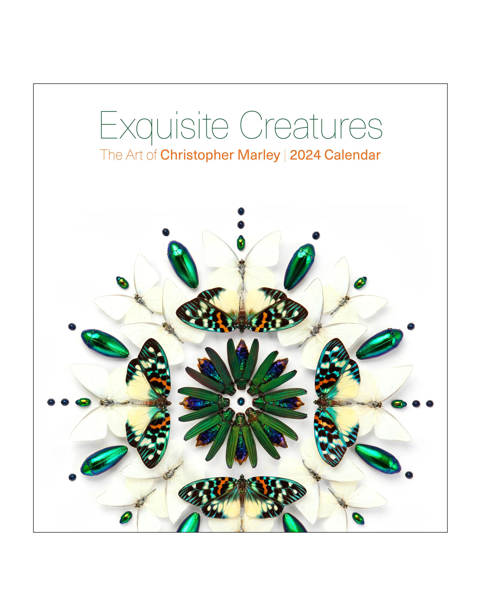 Pomegranate Exquisite Creatures: The Art of Christopher Marley 2024 Wall Calendar