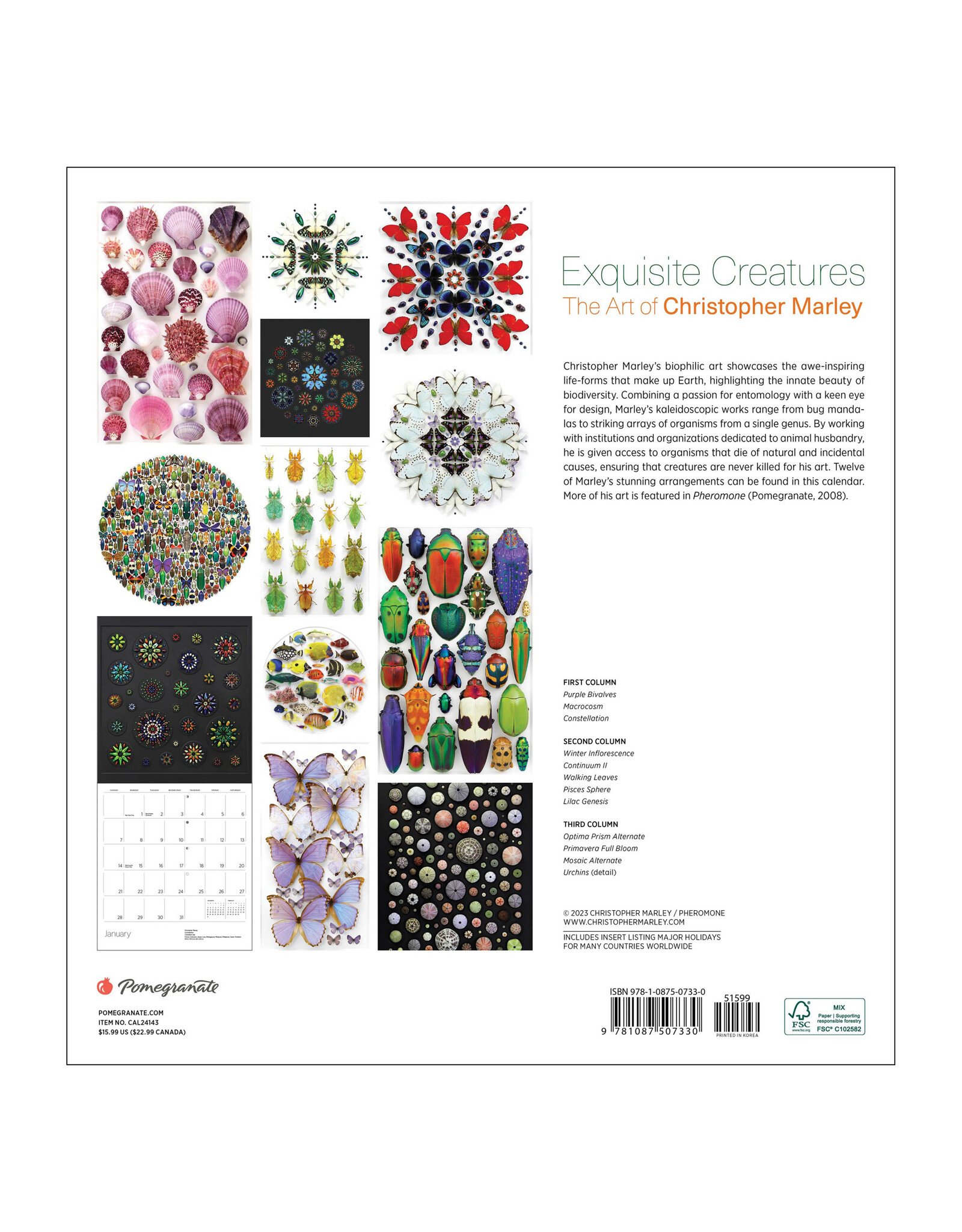 Pomegranate Exquisite Creatures: The Art of Christopher Marley 2024 Wall Calendar