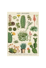 Cavallini Papers & Co. Wrap Cacti & Succulents