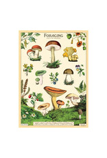 Cavallini Papers & Co. Wrap Forage