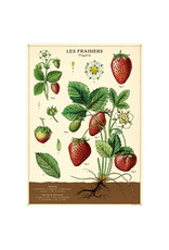 Cavallini Papers & Co. Wrap Strawberries