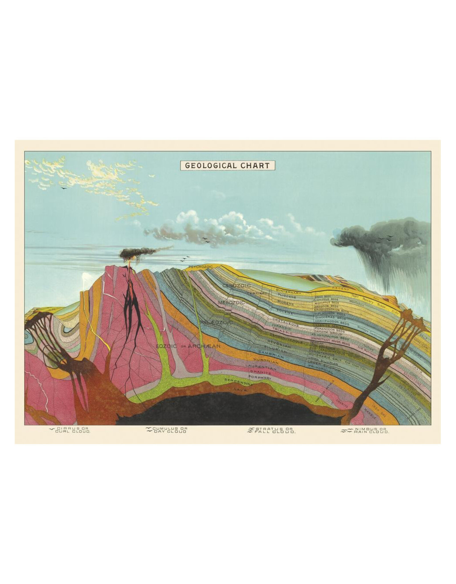 Cavallini Papers & Co. Wrap Geological Chart