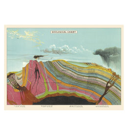 Cavallini Papers & Co. Wrap Geological Chart