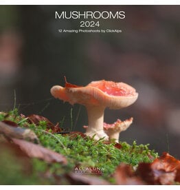 Allaluna Mushrooms 2024 Wall Calendar