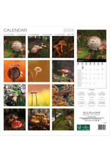 Allaluna Mushrooms 2024 Wall Calendar