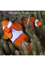 Allaluna Underwater World 2024 Wall Calendar  CIP149