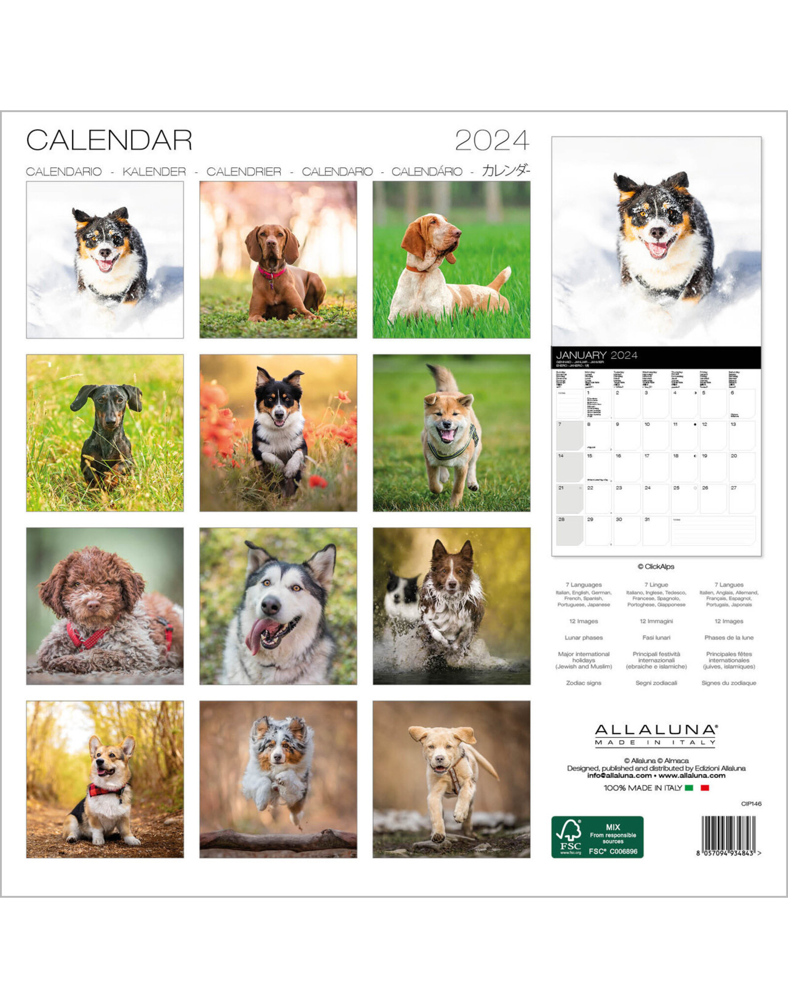Allaluna Dogs 2024 Wall Calendar