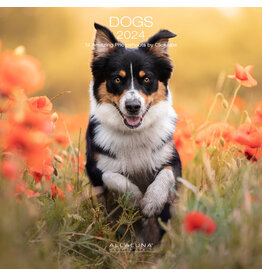 Allaluna Dogs 2024 Wall Calendar