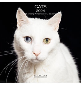 Allaluna Cats 2024 Wall Calendar