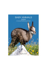 Allaluna Baby Animals 2024 Desk Calendar