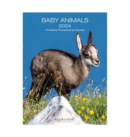 Allaluna Baby Animals 2024 Desk Calendar