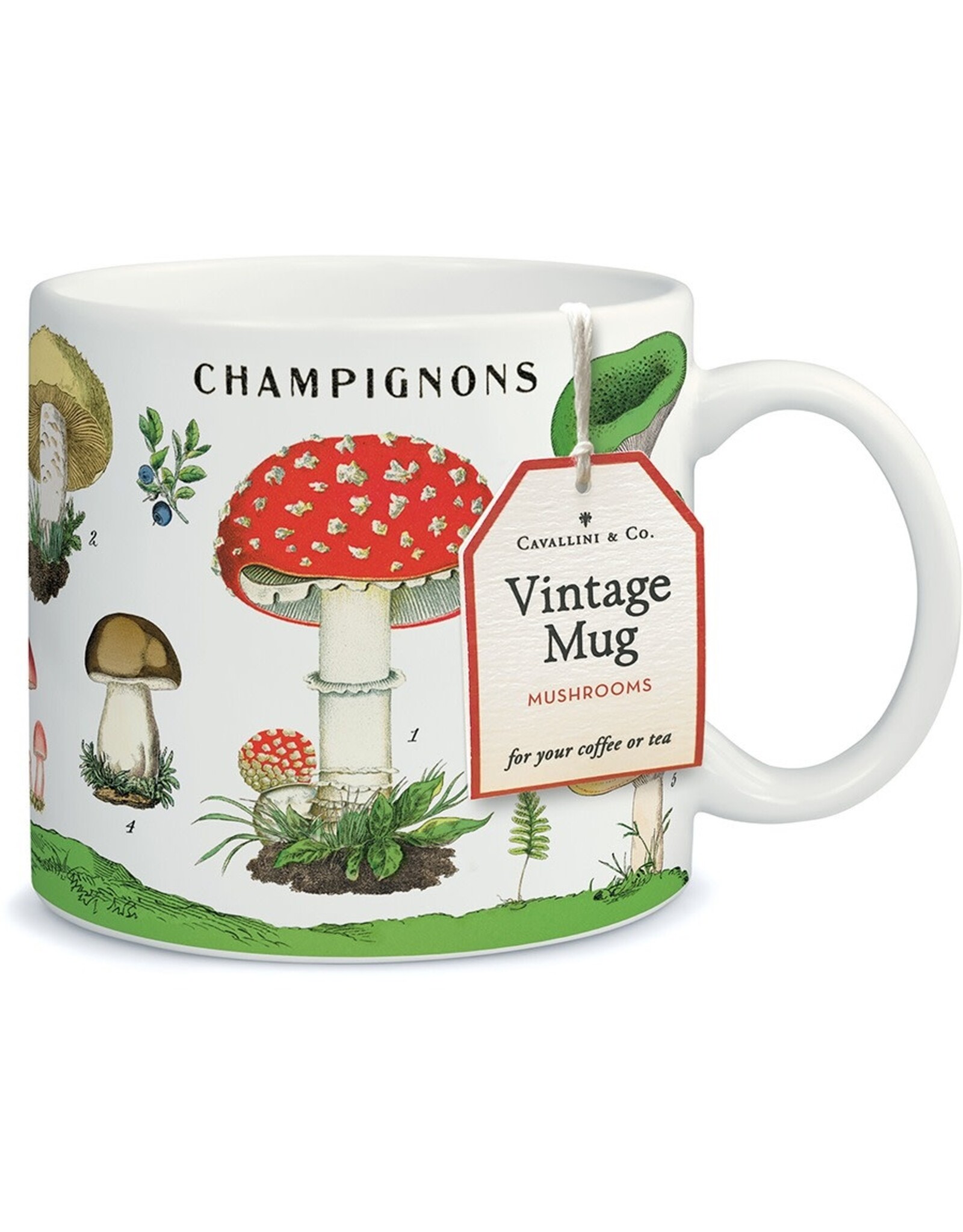 Cavallini Papers & Co. Mushrooms Ceramic Mug