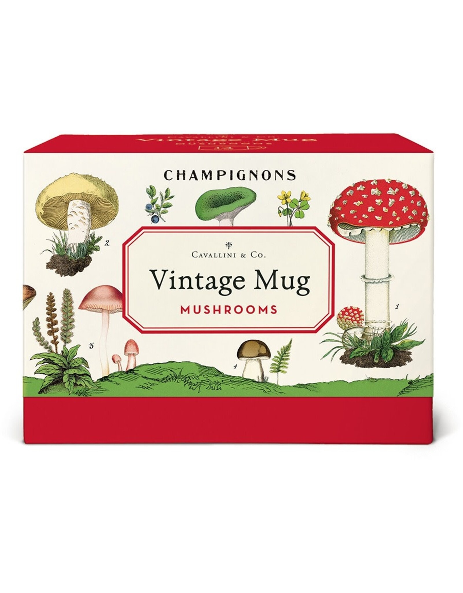 Cavallini Papers & Co. Mushrooms Ceramic Mug