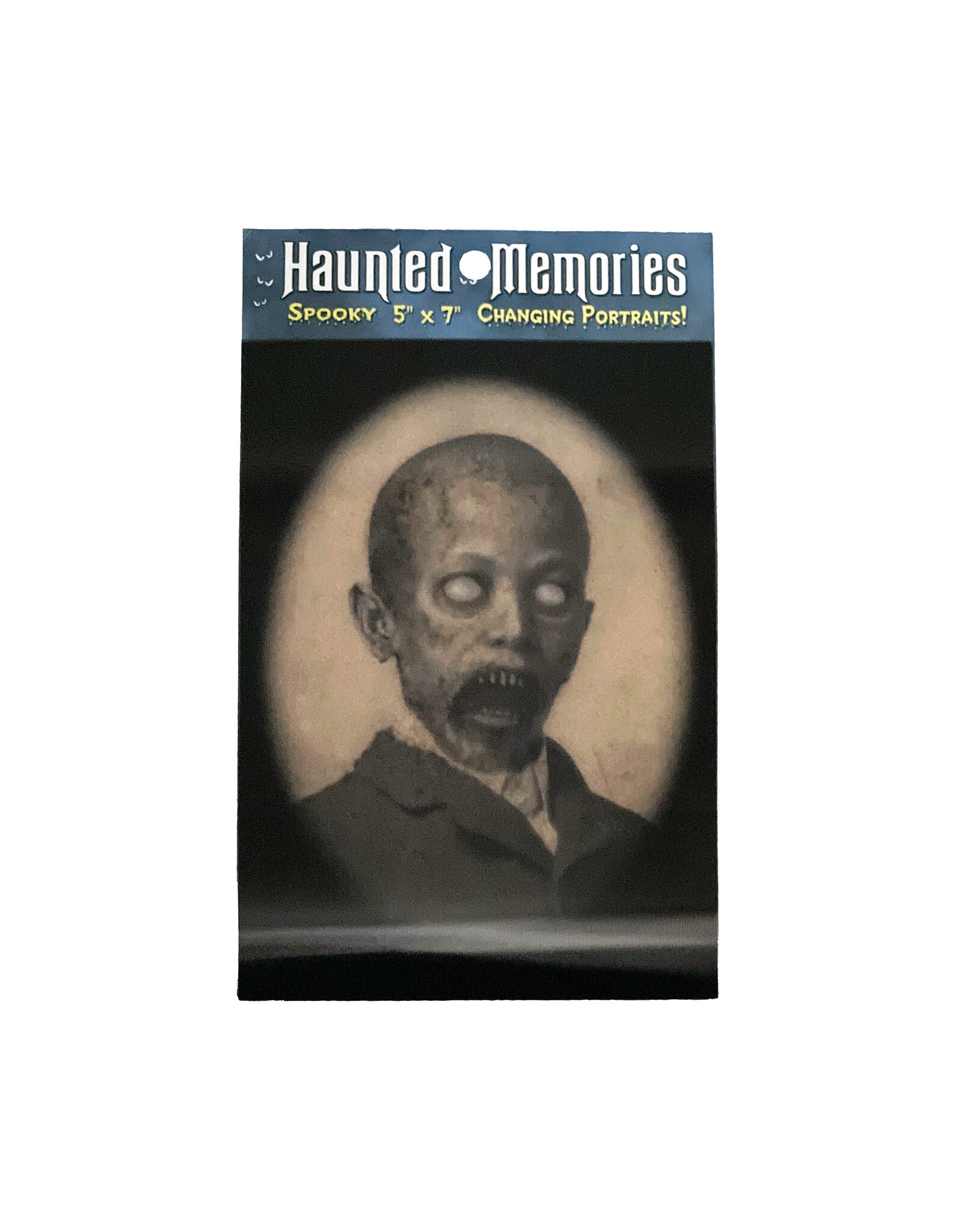 Haunted Memories Little Mathias 5x7 Haunted Changing Portrait