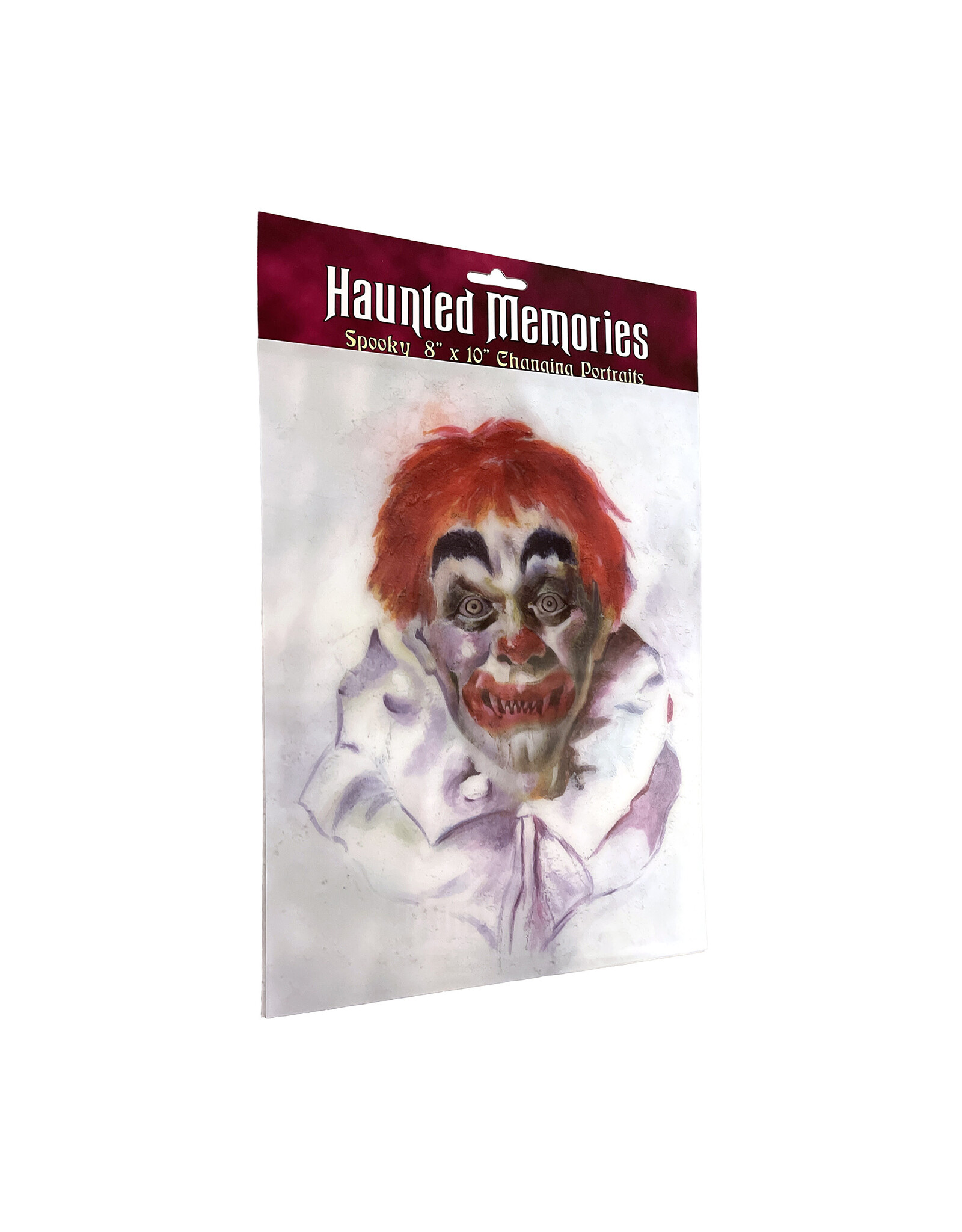 Haunted Memories Terrible Timmy 8x10 Haunted Changing Portrait