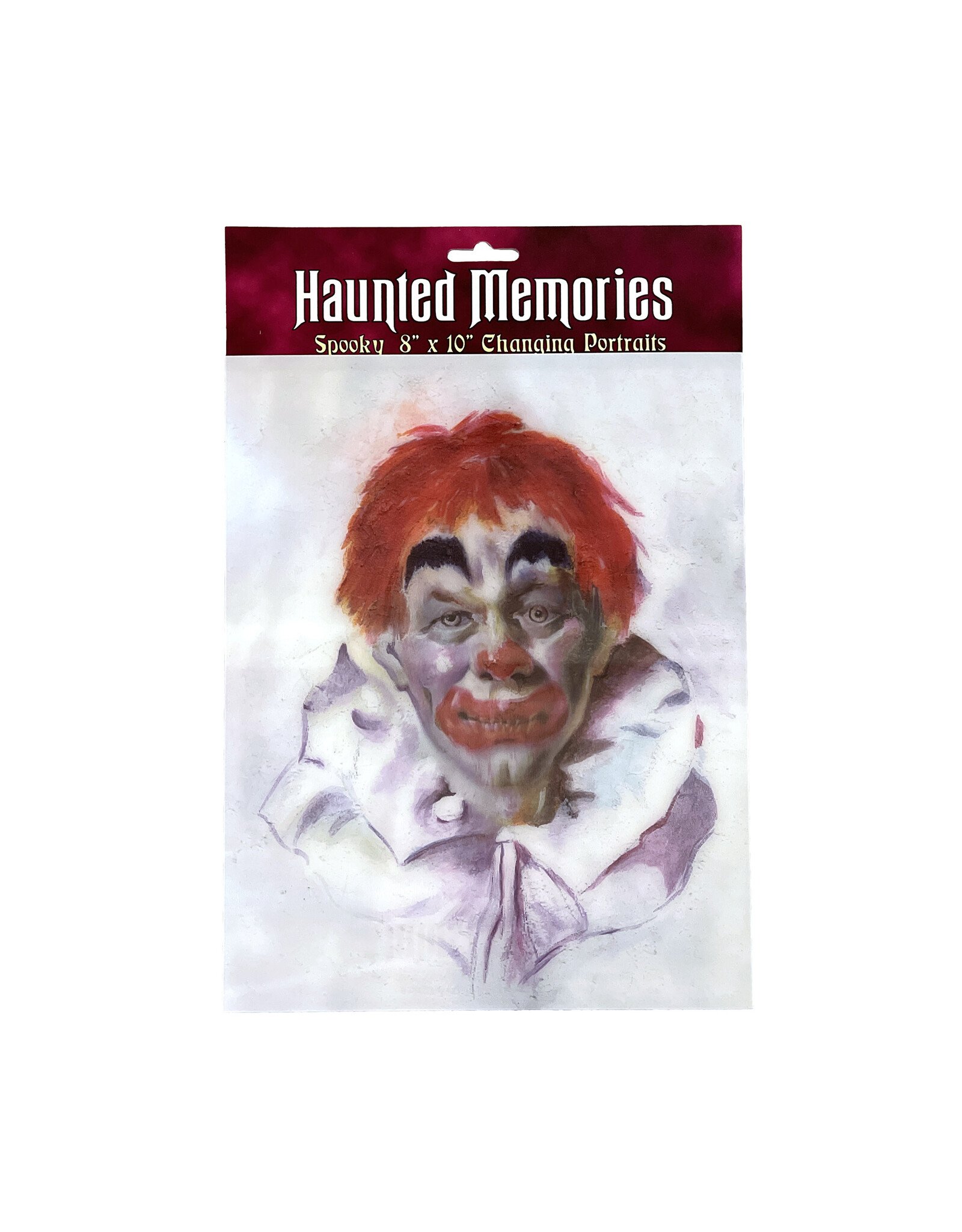 Haunted Memories Terrible Timmy 8x10 Haunted Changing Portrait