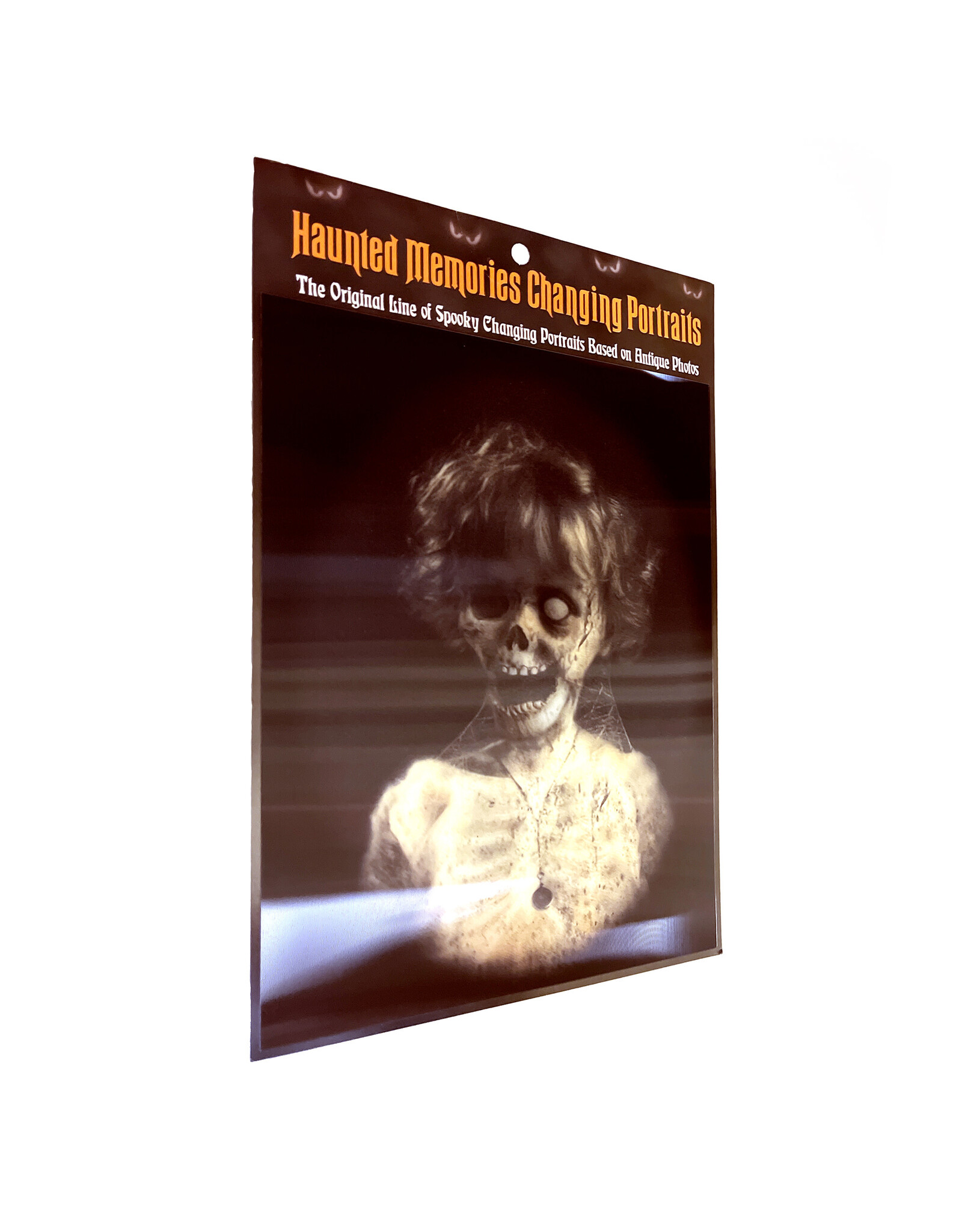 Haunted Memories Baby Jane 8x10 Haunted Changing Portrait