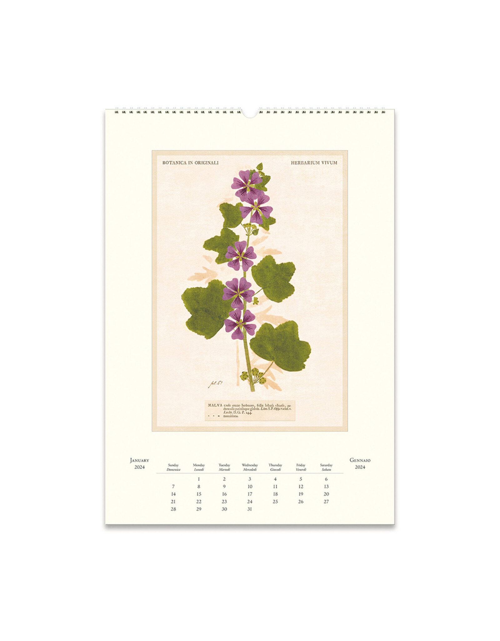Cavallini Papers & Co. 2024 Wall Calendar Pressed Flowers