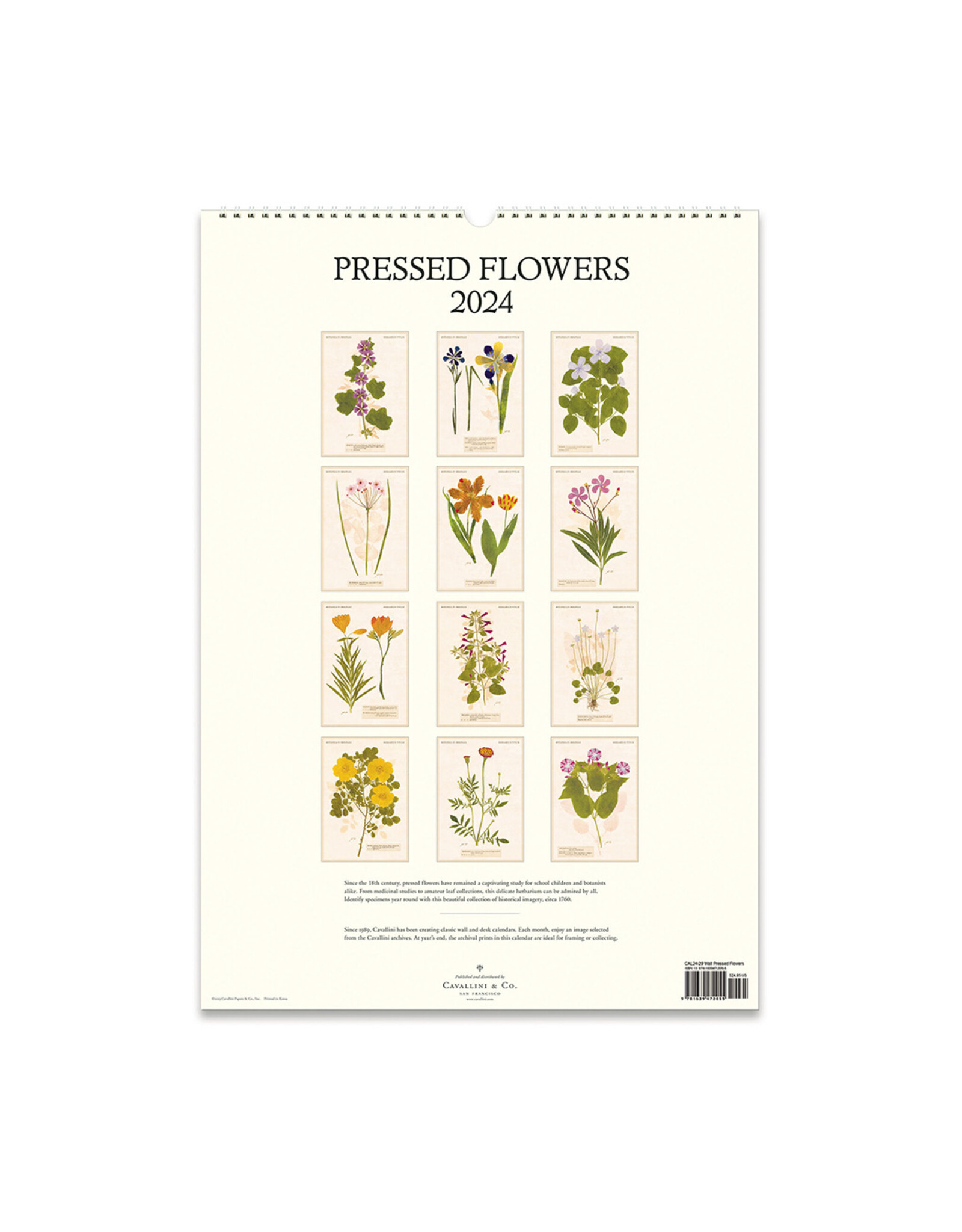 Cavallini Papers & Co. 2024 Wall Calendar Pressed Flowers