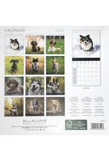 Allaluna Dogs 2024 Small Wall Calendar