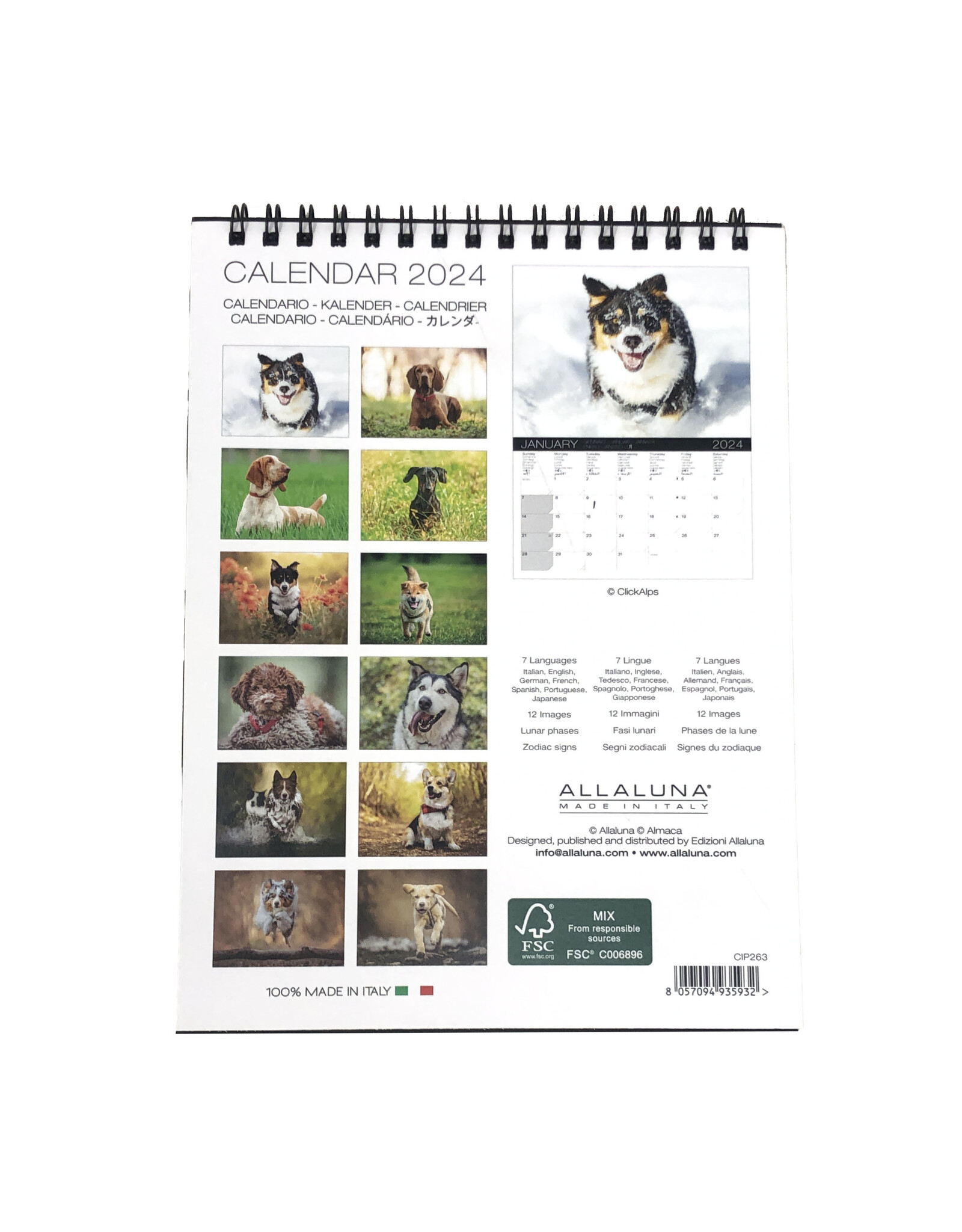 Allaluna Dogs 2024 Desk Calendar