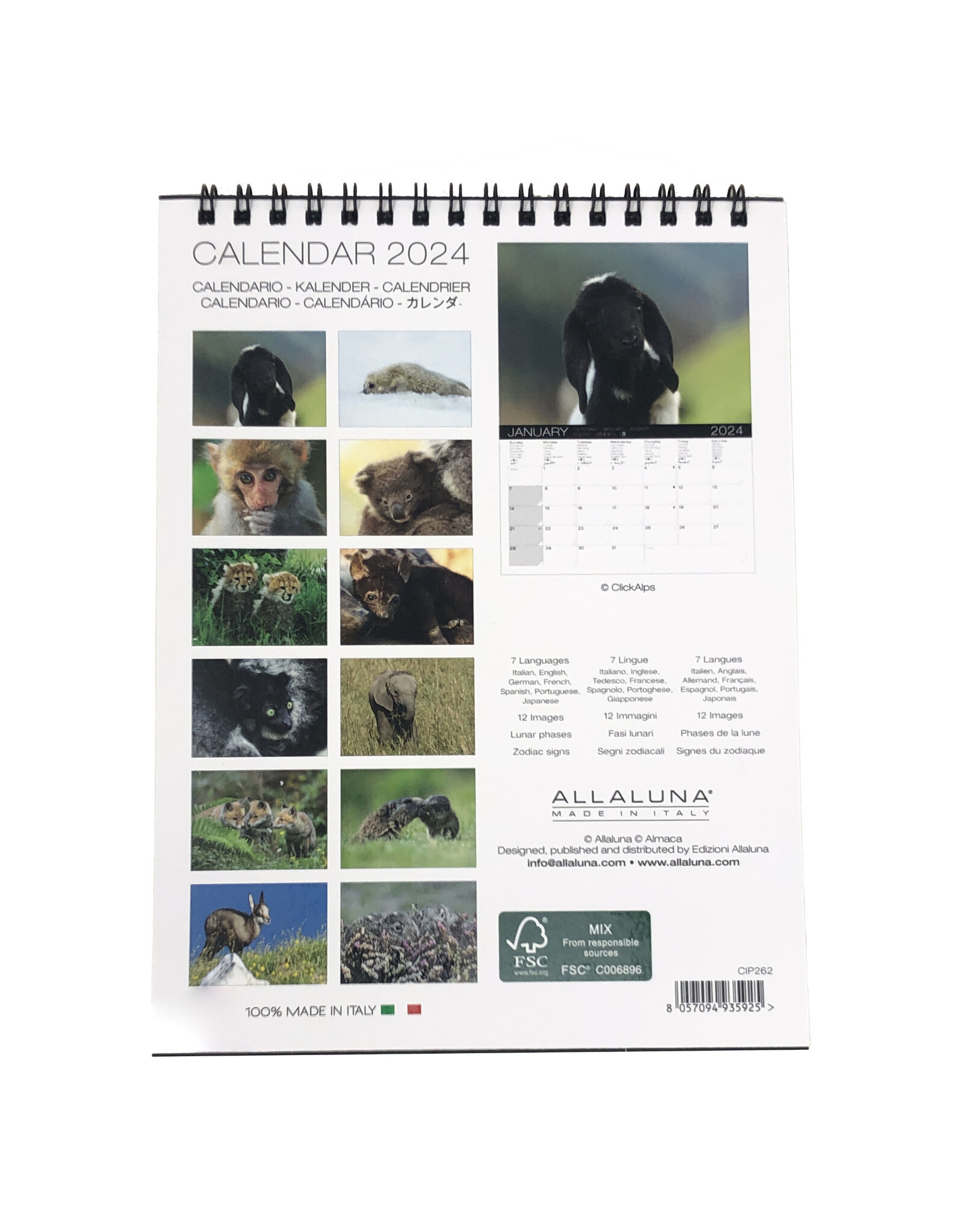 Allaluna Baby Animals 2024 Desk Calendar