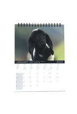 Allaluna Baby Animals 2024 Desk Calendar