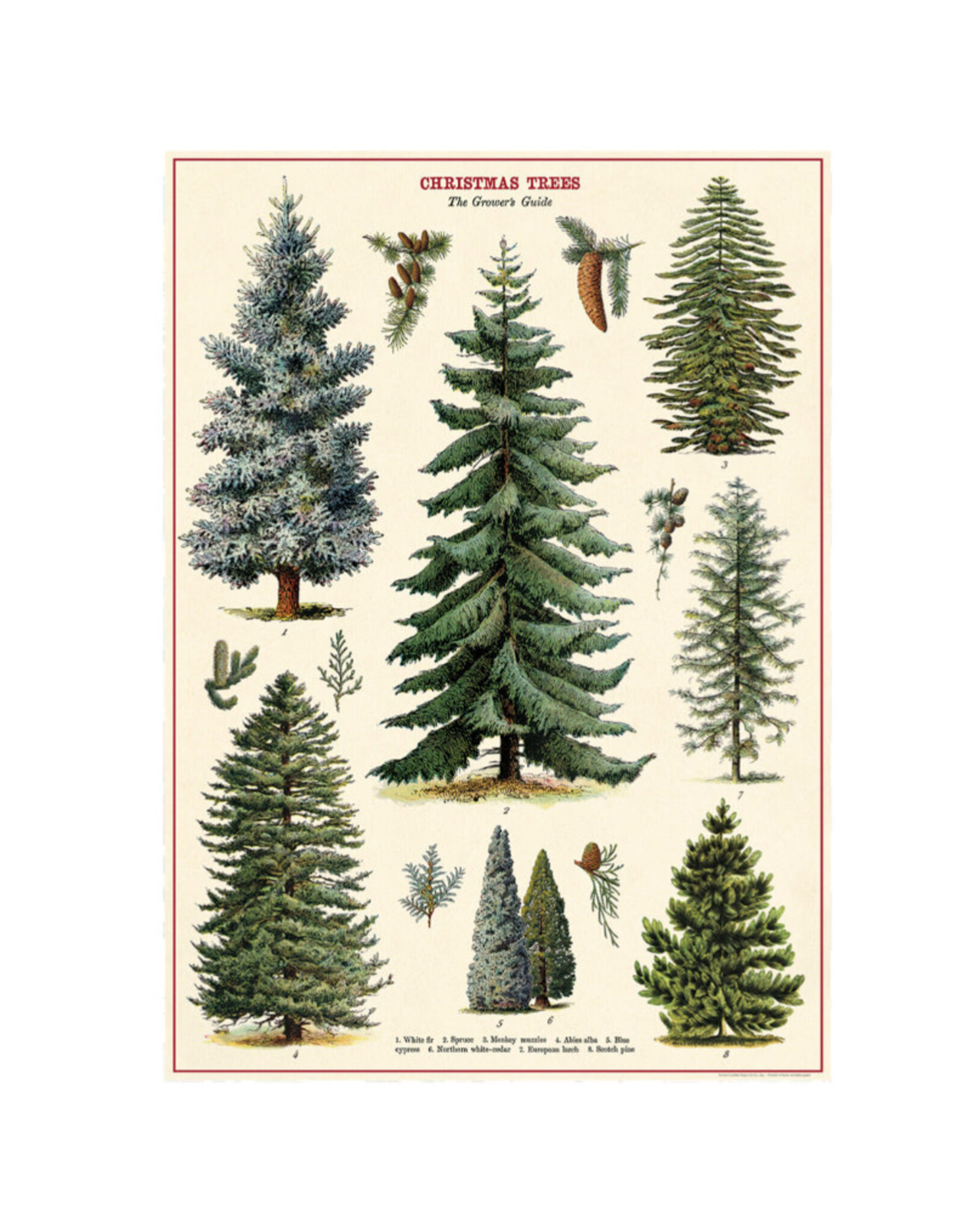 Cavallini Papers & Co. Wrap Christmas Trees