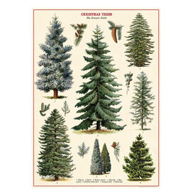 Cavallini Papers & Co. Wrap Christmas Trees
