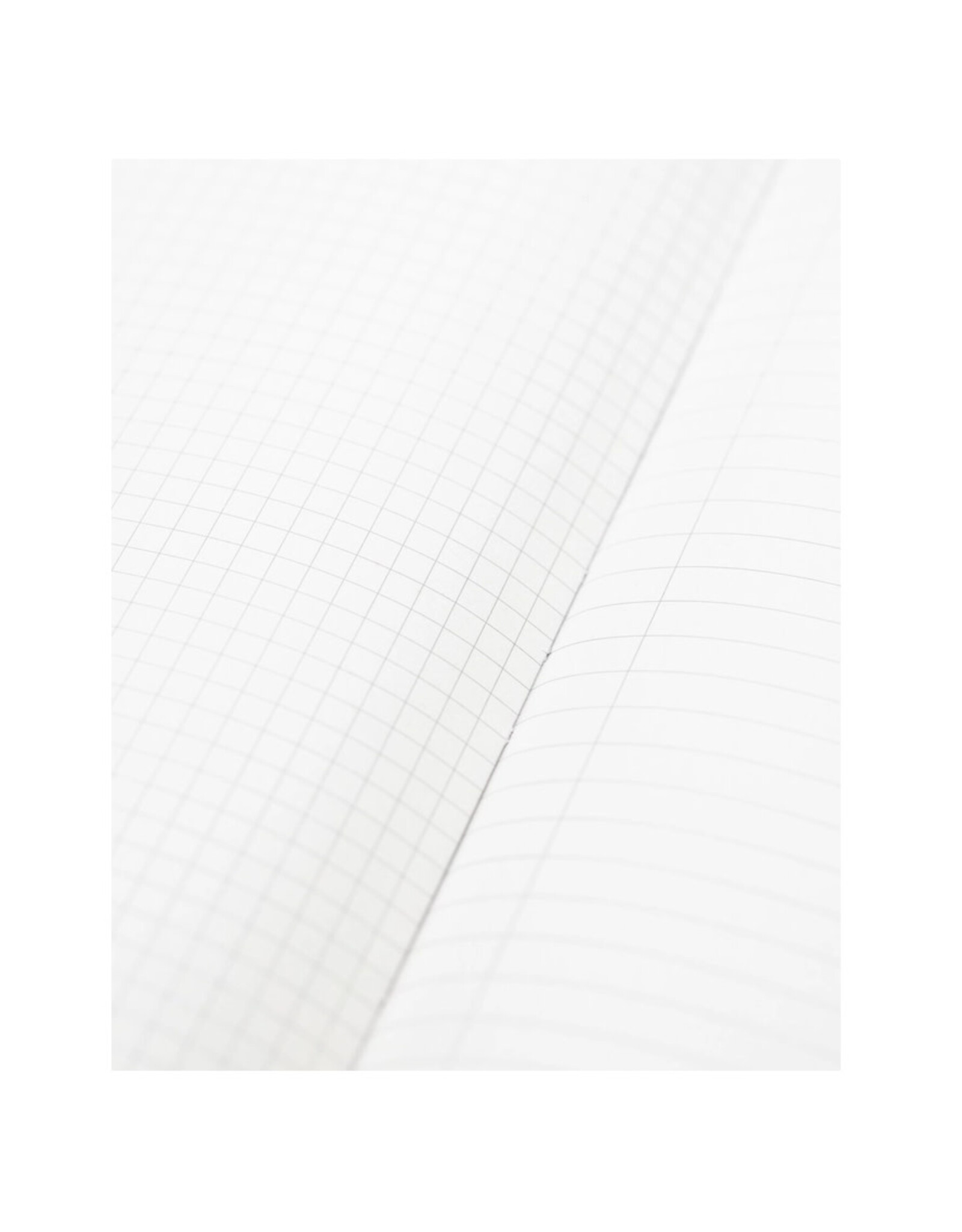 Cognitive Surplus Ascending Regions Hardcover 9x7 Lined Grid Page Notebook