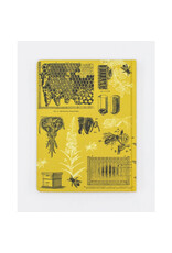 Cognitive Surplus Bees Hardcover 9x7 Dot Grid Page Notebook